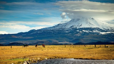 Horses on field by snowcapped mountain against sky