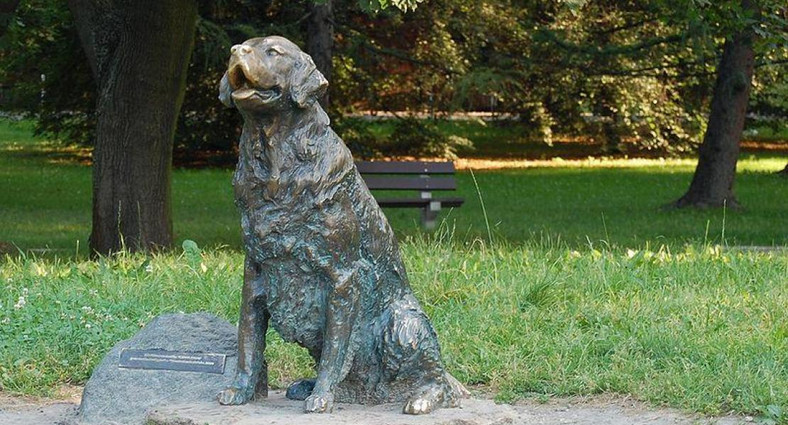 Lokat na Pomniku Szczęśliwego Psa