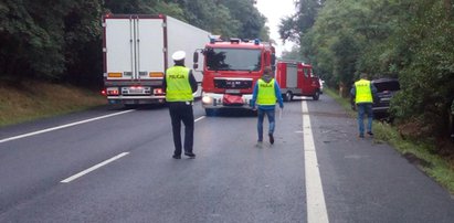 Zwierzę wskoczyło do samochodu przez szybę. Kierowca nie żyje