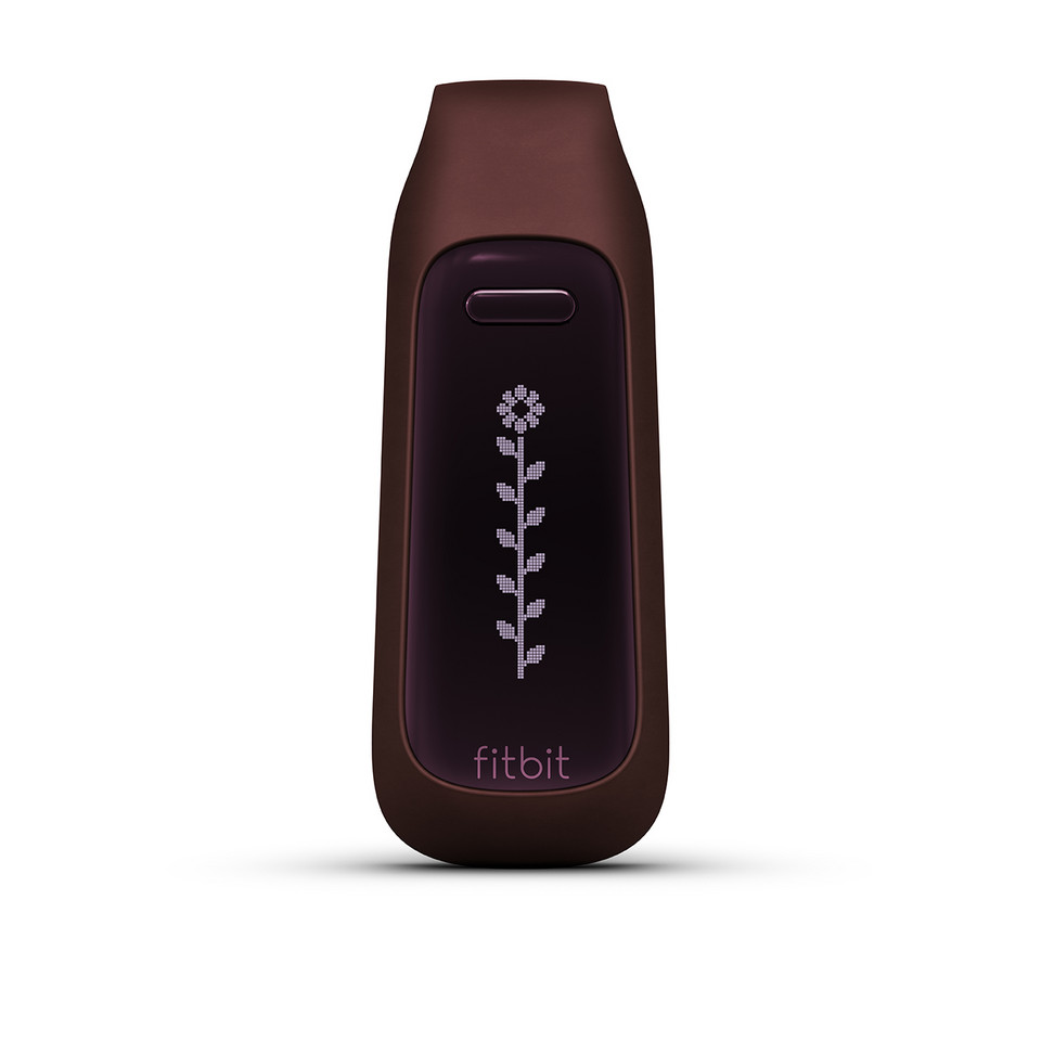 Fitbit One