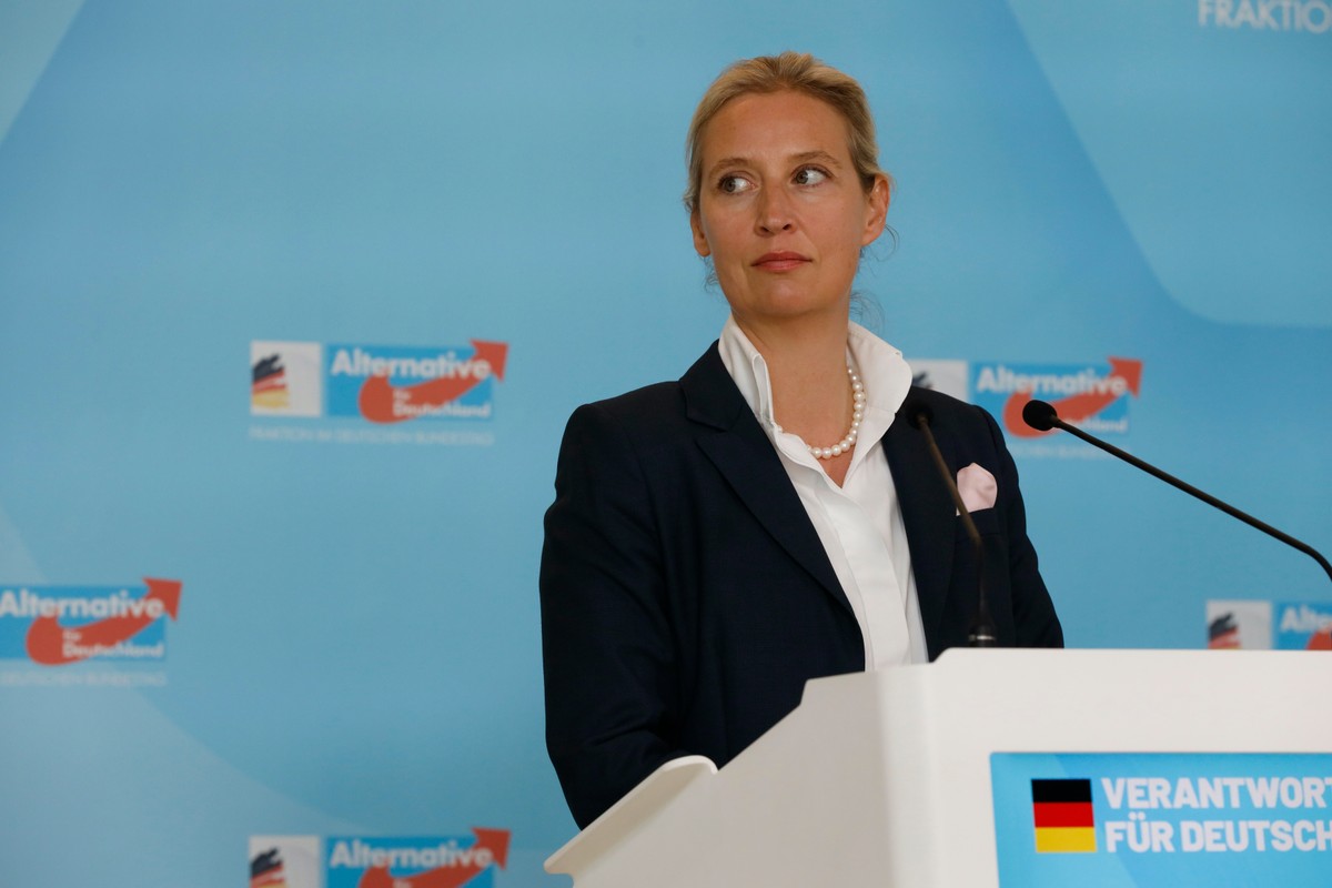 AfD pozwała niemiecki kontrwywiad