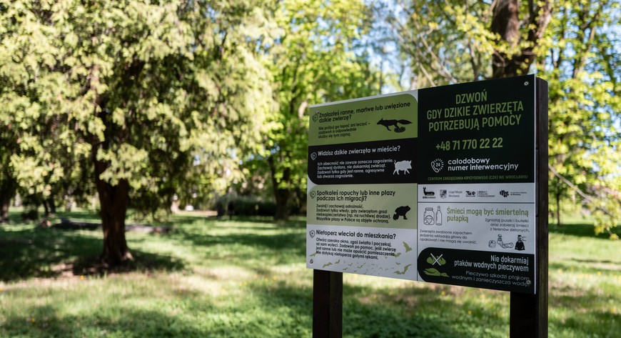 Kluczowym elementem kampanii jest promocja jednego, dedykowanego numeru interwencyjnego: 71 770 22 22. To właśnie tam powinni dzwonić Wrocławianie, gdy napotkają ranne zwierzę lub sytuację, która budzi ich niepokój. 