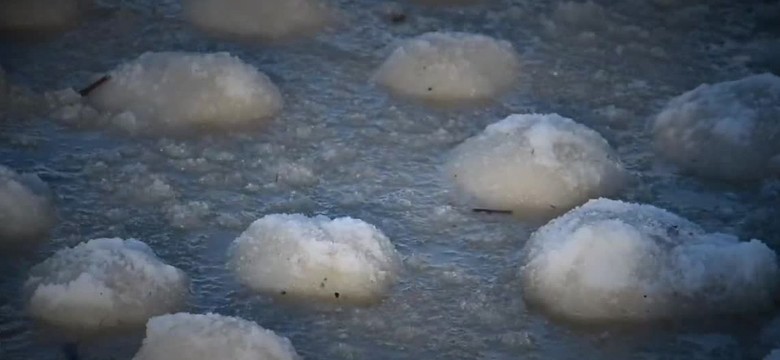 Morszkulce, czyli LODOWE KULE na plaży we Fromborku