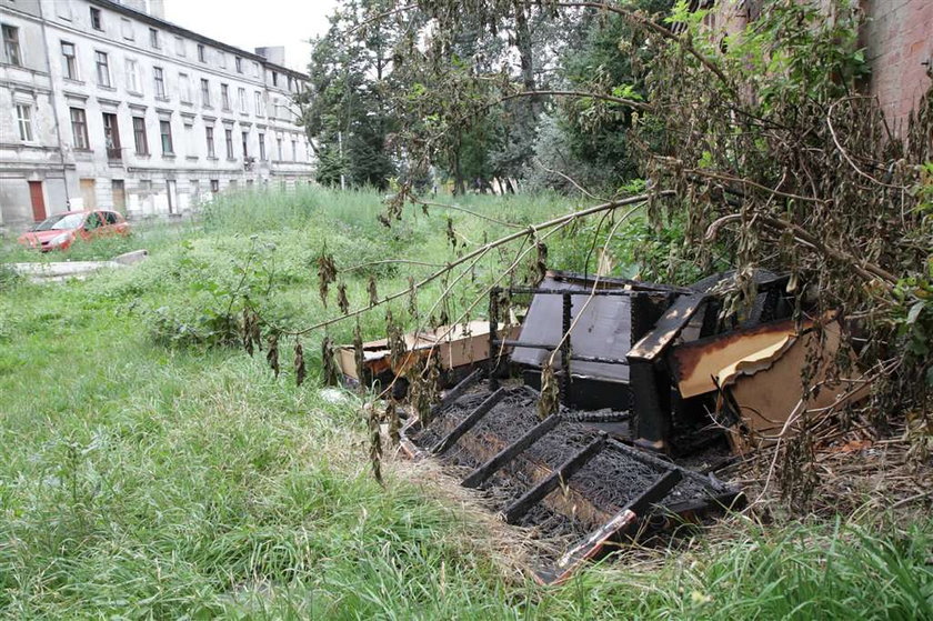 Wreszcie zrobią tu porządek