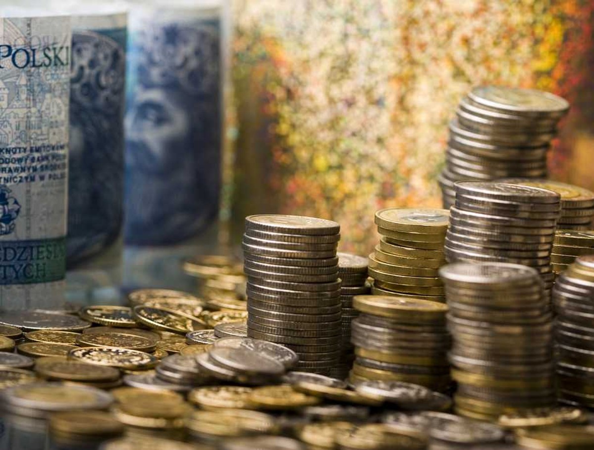 Deficyt budżetowy po listopadzie 2010 roku wyniósł ok. 42,5 mld zł - poinformowała Hanna Majszczyk, wiceminister finansów. Fot. Shutterstock