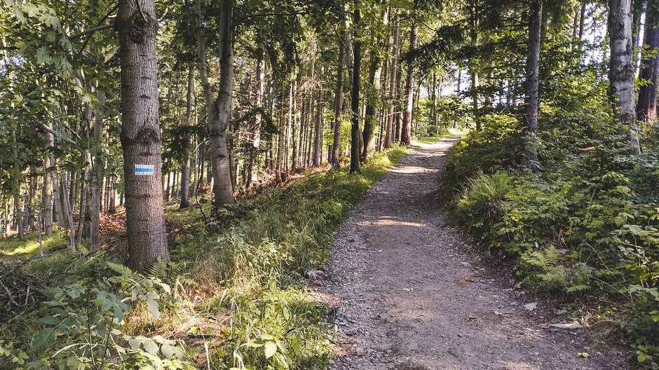 Ostatnie chwile przed polaną pod Skopcem