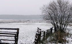 Licytacja majątku syna Leppera. Zabrakło chętnych na zakup dwóch działek