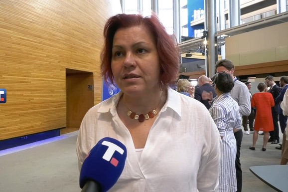 Viček: Izveštaj o Srbiji u EP neujednačen, usvajanje bilo očekivano