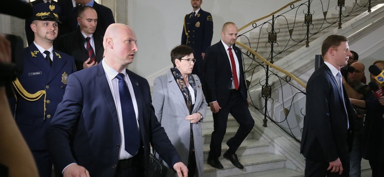 Ostrzejsze kary za znęcanie się nad zwierzętami. Rząd zajmie się projektem ustawy