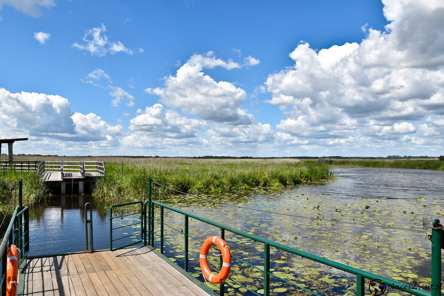 Narwiański Park Narodowy