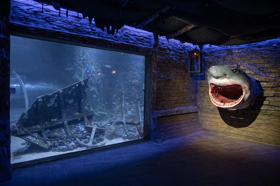 Primer Polinovih  enterijera Akvarijuma