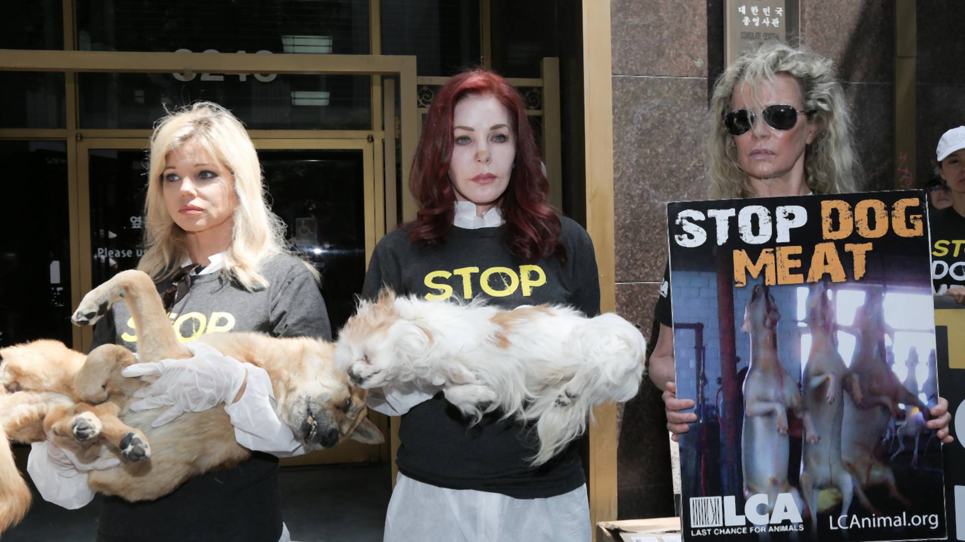 Známe herečky protestovali s mŕtvymi psami v rukách. Upozornili na ich zabíjanie a jedenie
