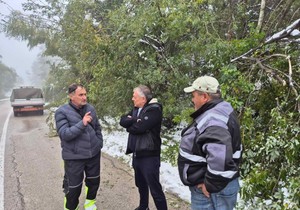 CRNA TRAVA TONČEV SNEG