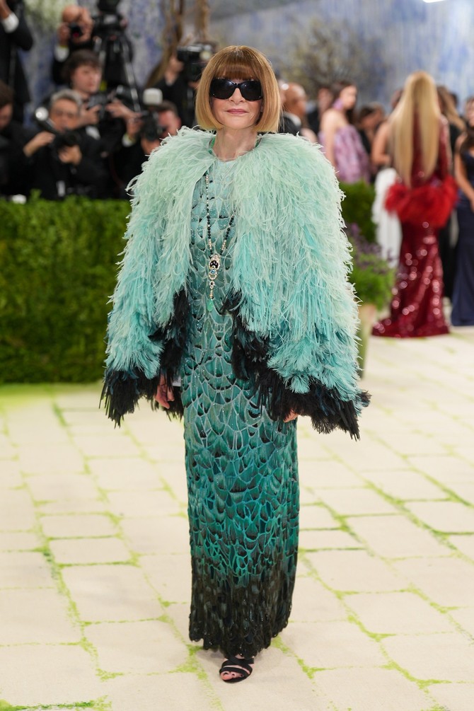 Ana Vintur, Met Gala 2026.
