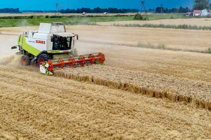 Polska może liczyć na duże unijne pieniądze na rolnictwo. Rząd przyjął projekt