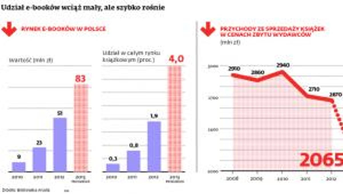 Udział e-booków wciąż mały, ale szybko rośnie