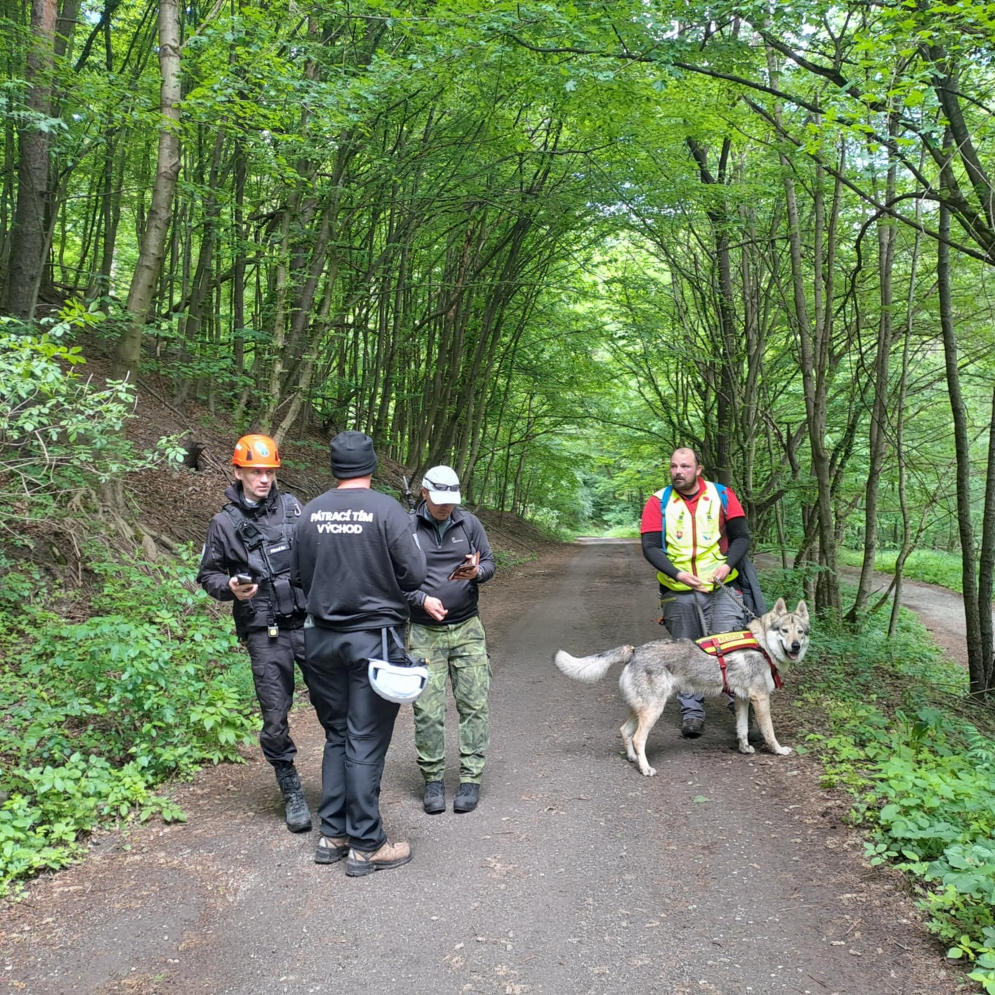 Nezvestnú Luciu hľadal pátrací tím, policajti aj psovodi. 