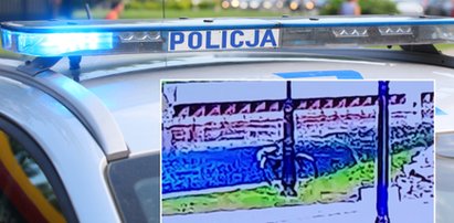 Zgłosił kradzież roweru, policjanci przejrzeli monitoring. Tego się nie spodziewali. NAGRANIE