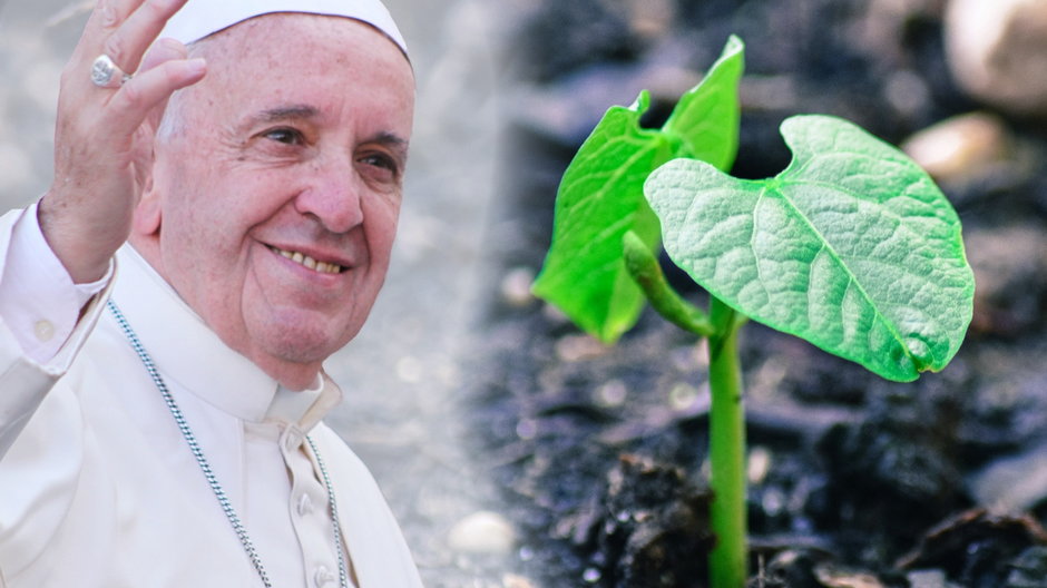 Ziemia – jak dbać o nasz wspólny dom? Wskazówki papieża Franciszka