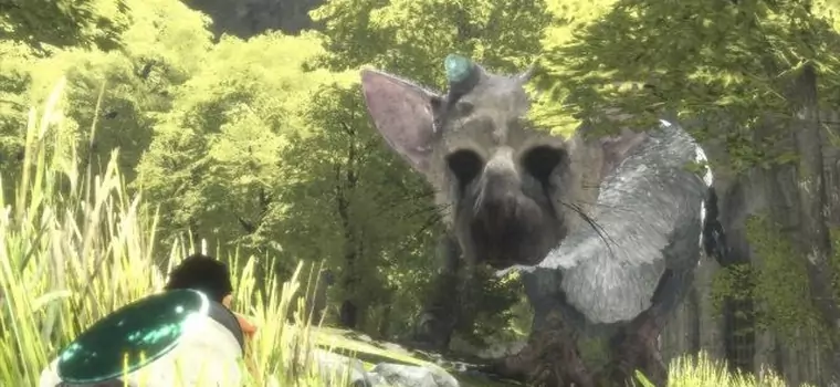 Nowe screenshoty z The Last Guardian tym razem w dobrej jakości