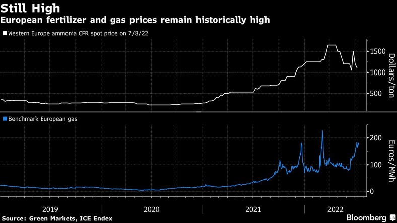 Europejskie ceny nawozów i gazu
