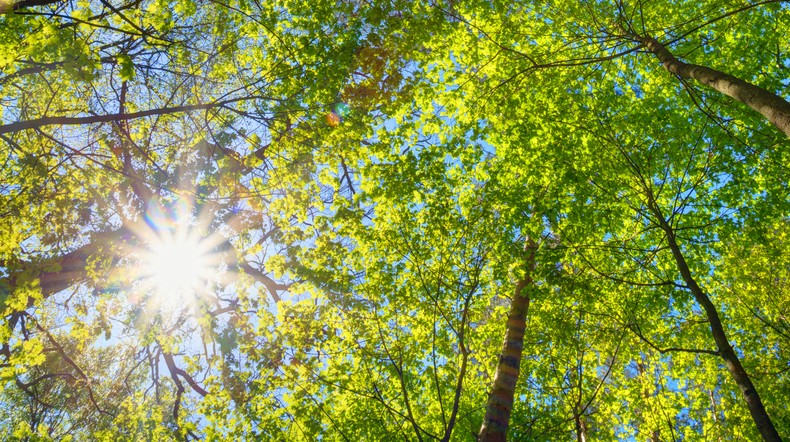 Prognoza pogody na weekend: pojawi się nieco słońca, ale pogoda nie będzie rozpieszczała 