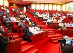 Senate threatens to step down NCoS budget over insufficient information