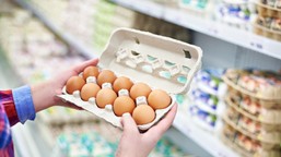 pasta z tuńczyka z jogurtem i jajkiem