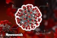FAQty o koronawirusie – podstawowe informacje