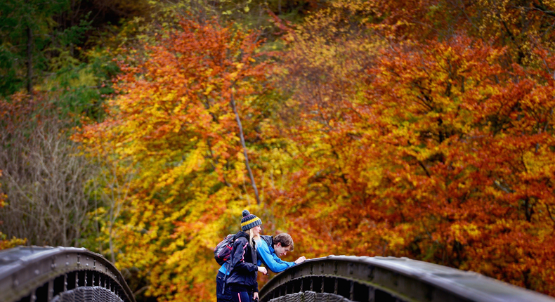 autumn uk