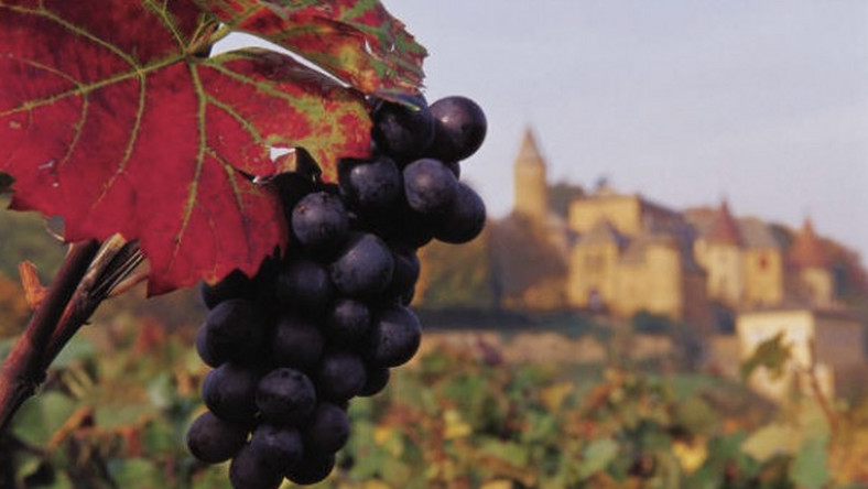 Od sierpnia do września wszystko na Węgrzech kręci się wokół wina. Trasy winiarskie dają możliwość przyjrzenia się produkcji win, poznania muzeów wina oraz degustacji. A liczne święta i festiwale zapraszają turystów do wspólnego winobrania, wspólnego świętowania i do wspólnego picia wina.