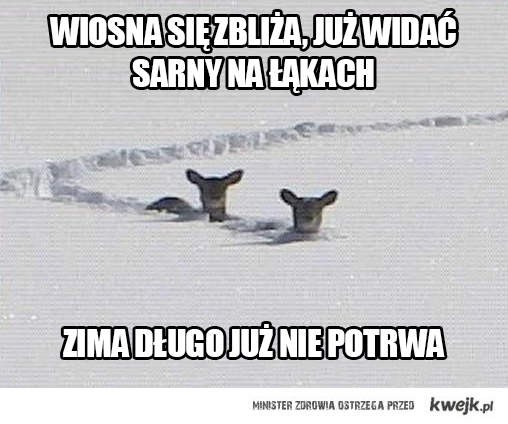 fot. kwejk.pl