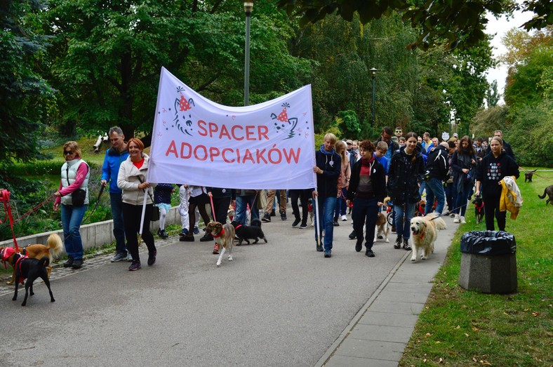 Jedna z poprzednich edycji Spaceru Adopciaków