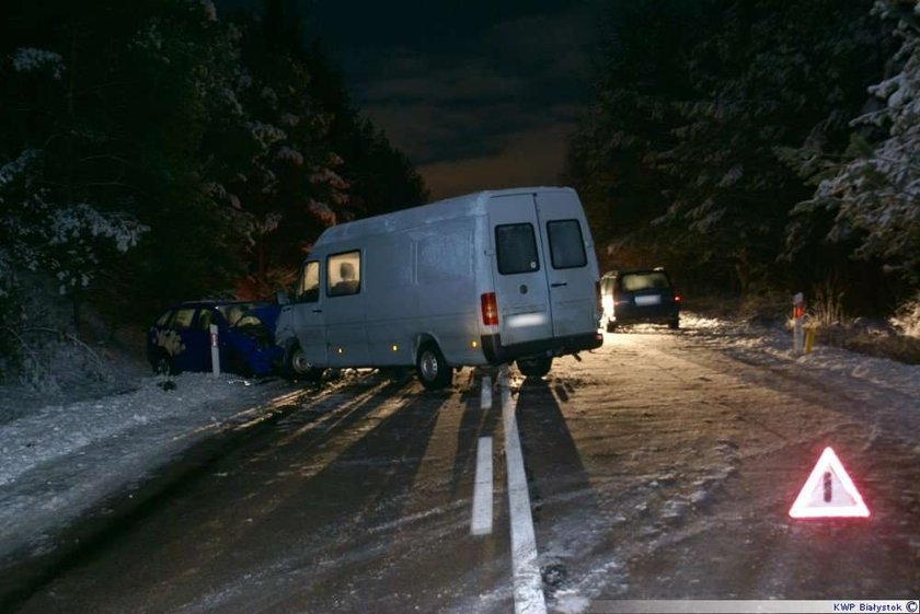 Karambol przez łosia! FOTY