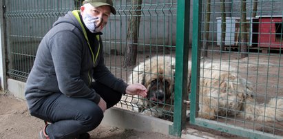 Kierownik schroniska dla zwierząt bił psy? Jest donos i reakcja