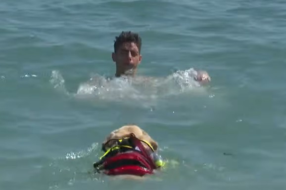 (FOTO, VIDEO) OVO JE IRA, PRVI PAS SPASILAC U GRČKOJ Kad uoč