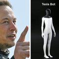 Elon Musk zaczął budować homoidalne roboty. "Praca fizyczna będzie wyborem"