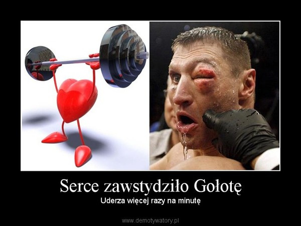 Andrzej Gołota - memy