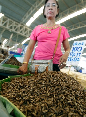 Rynek pełen robaków. Gratka dla smakoszy