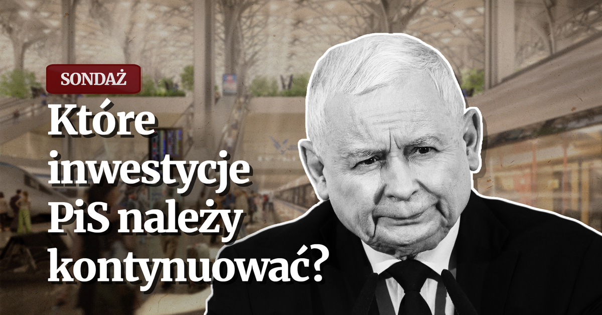  Na jakie pomysły PiS warto stawiać? Zaskakujący wynik SONDAŻ