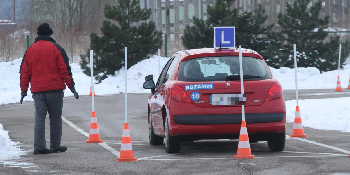 Piotrków Trybunalski: Rekord w zdawaniu egzaminu na prawo jazdy