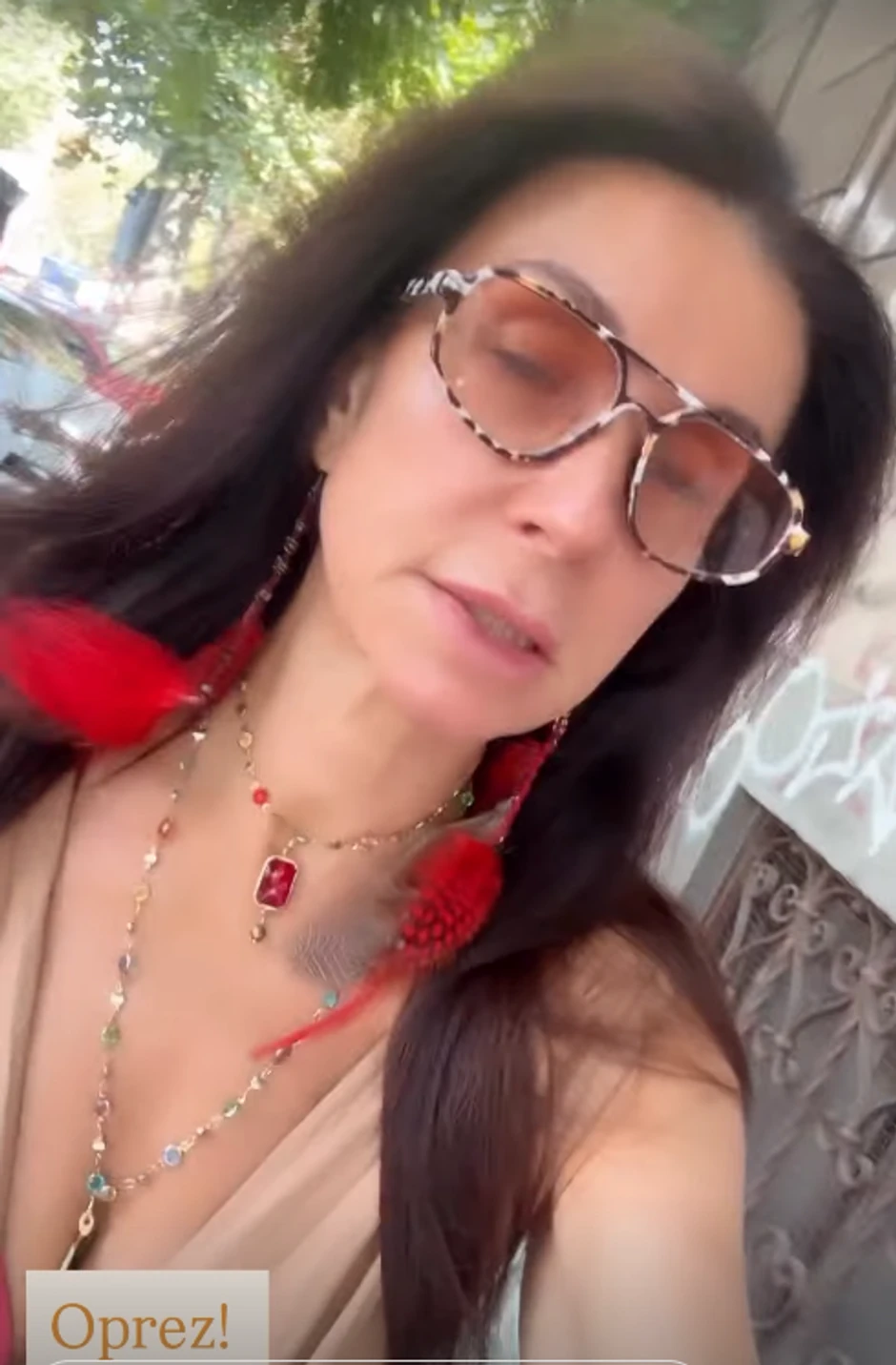 Snežana Dakić, objava