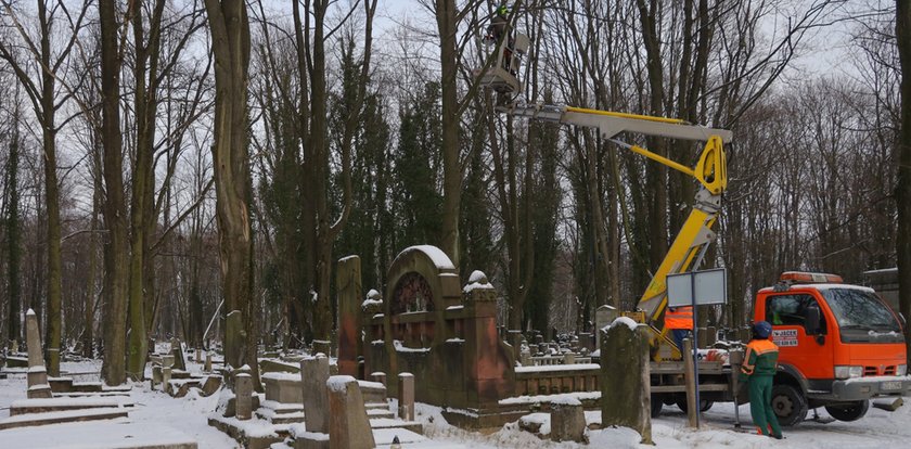 Specjaliści rozpoczęli prace na Cmentarzu Żydowskim. Pielęgnują pomnik historii