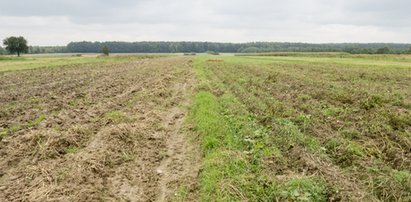 Koniec spekulacji! Ceny ziemi spadną