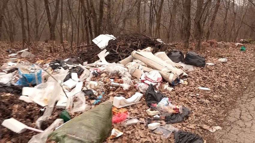 Mrtve lisice pronađene su u džakovima na divljoj deponiji u naselju Brđani