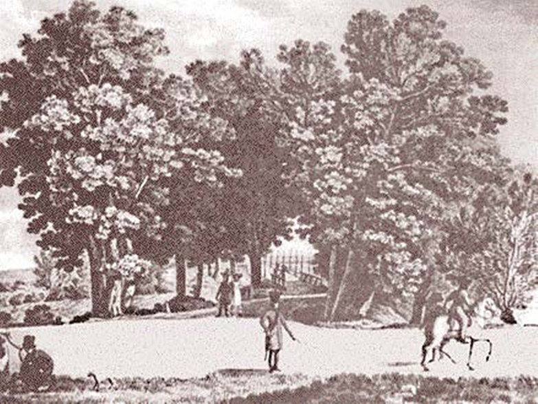 Marymont - drogi pośród zieleni. Akwarela A. Majerskiego, ok. 1818 r. Źródło: Przewodnik po Żoliborzu