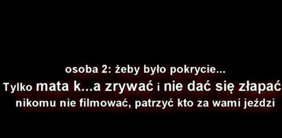 Urzędnik kazał zrywać plakaty! O kandydatach mówi Inny ch..