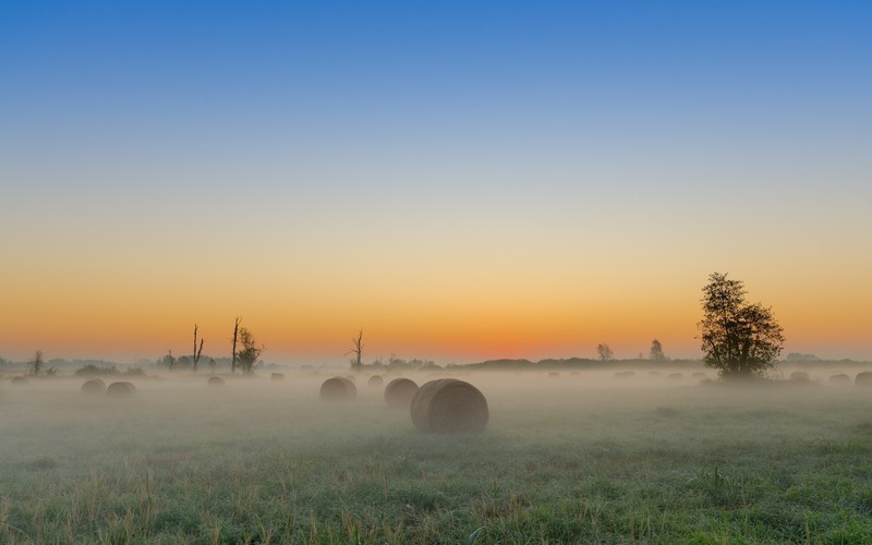 Przesąd na 30 sierpnia. Zrób to, a los cię wynagrodzi