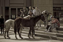 Galeria Irlandia - Dublin - Koński targ na Smithfield Market, obrazek 1