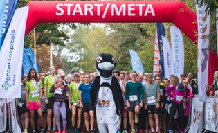 Wystartuj wirtualnie w biegu i pomóż zwierzętom